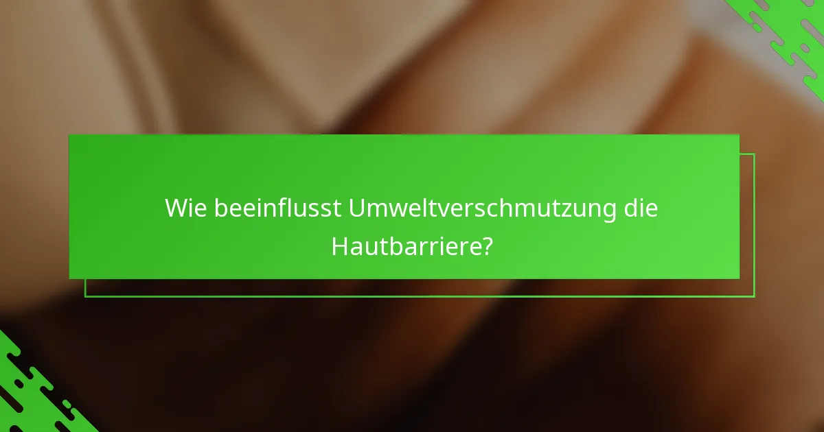 Wie beeinflusst Umweltverschmutzung die Hautbarriere?