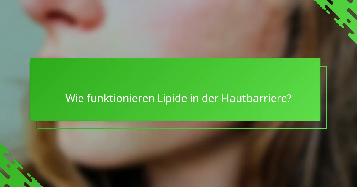 Wie funktionieren Lipide in der Hautbarriere?