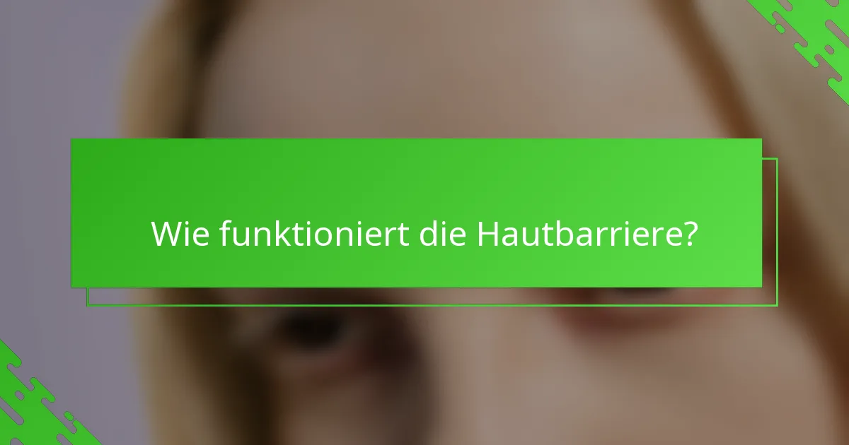 Wie funktioniert die Hautbarriere?