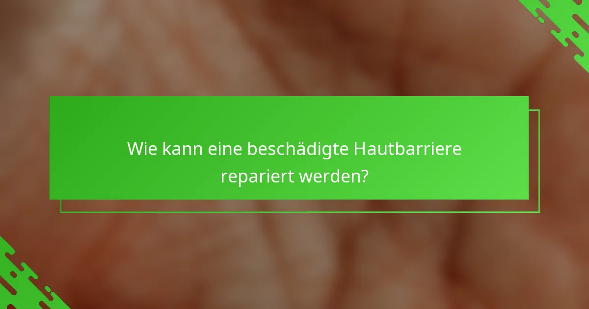 Wie kann eine beschädigte Hautbarriere repariert werden?
